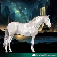 Horse Color:Platinum White Spotted Grullo Pearl Splash 