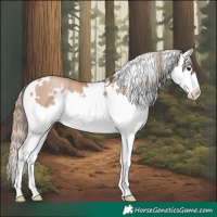 Horse Color:White Spotted Black Pearl Splash 