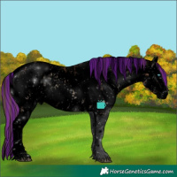 Horse Color:Void Painted Bay Ice Onyx Splash Tobiano Appaloosa