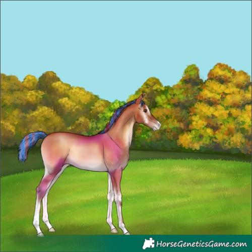 Horse Color:Unknown 
