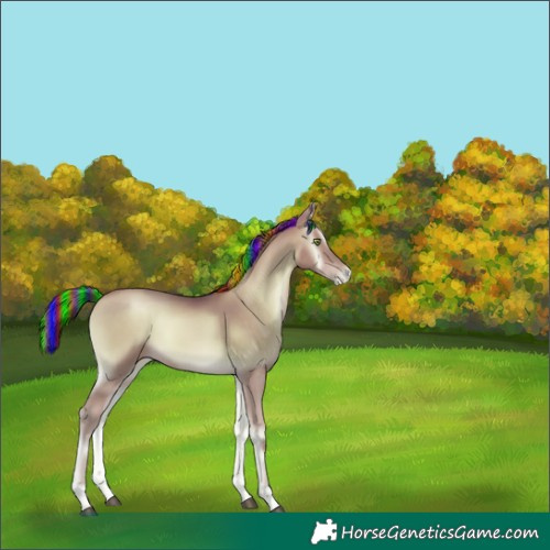 Horse Color:Unknown 