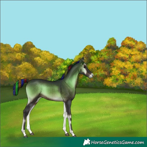 Horse Color:Unknown 