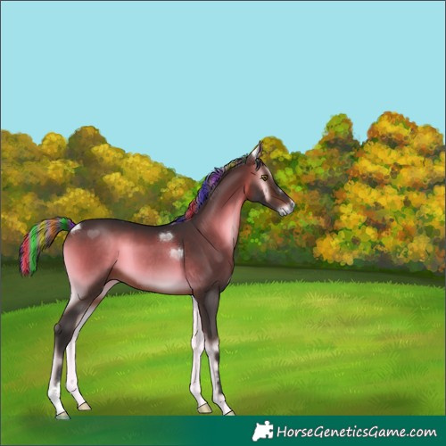 Horse Color:Unknown 