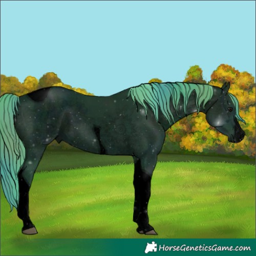 Horse Color:Void Nacre Watercolor White Spotted Midnight Smoky Black Tobiano Rabicano 