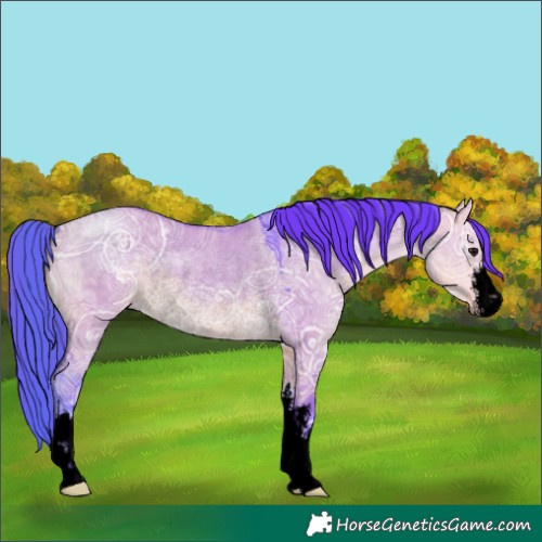 Horse Color:Void Watercolor White Spotted Buckskin Ice Dun Rabicano