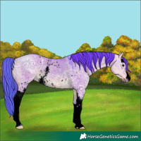 Horse Color:Void Watercolor White Spotted Buckskin Ice Dun Rabicano 