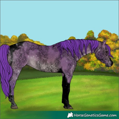 Horse Color:Void Watercolor Brown Ice Dun Tobiano 