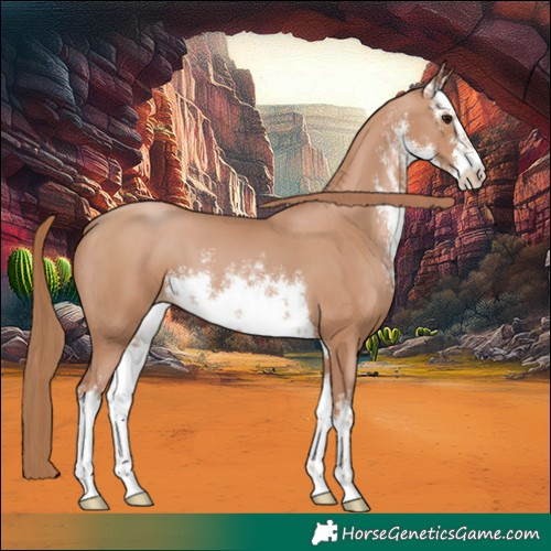 Horse Color:White Spotted Chocolate Black Pearl 
