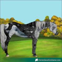 Horse Color:ERROR: UNKNOWN ANOMALY