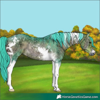 Horse Color:Watercolor Buckskin Ice Onyx Tobiano Rabicano