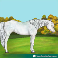 Horse Color:Silver Smoky Blue Onyx Ice Pearl Tobiano 