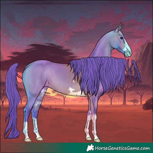 Horse Color:Watercolor Bay 