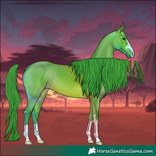 Horse Color:Watercolor Bay 
