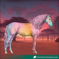 Horse Color:Watercolor Bay 