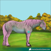 Horse Color:Void Watercolor Chocolate Bay Sabino