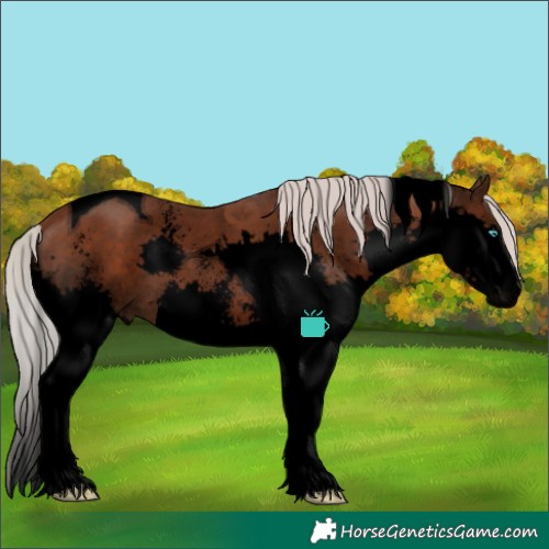Horse Color:Void Silver Black Sabino Splash Tobiano 