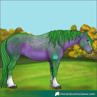Horse Color:Watercolor White Spotted Brown Sabino 
