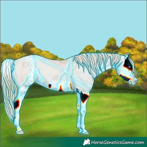 Horse Color:Thunderstruck Brown Ice Pearl Splash Appaloosa 