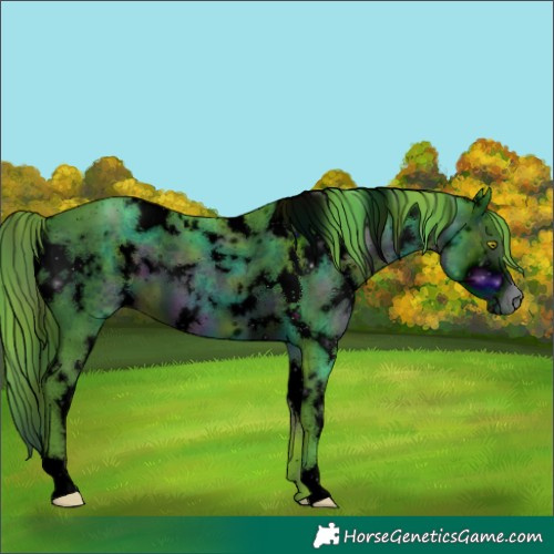 Horse Color:ERROR: UNKNOWN ANOMALY