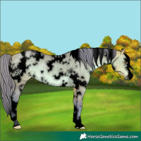Horse Color:Void Watercolor White Spotted Buckskin Dun