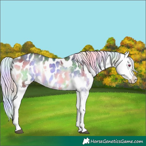 Horse Color:Nacre White Spotted Silver Brown Chinchilla Onyx Appaloosa 