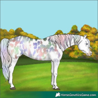 Horse Color:Nacre White Spotted Silver Brown Chinchilla Onyx Appaloosa 