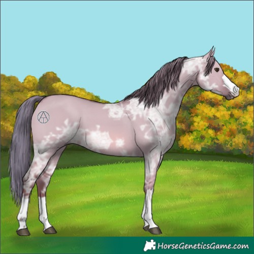 Horse Color:Watercolor Red Dun Ice 