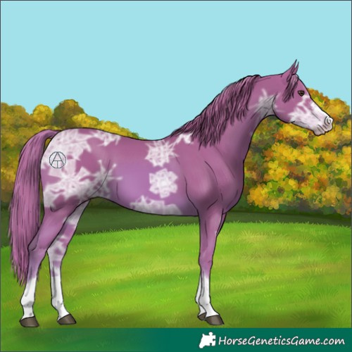 Horse Color:Watercolor Chestnut Ice 