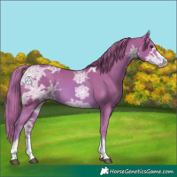 Horse Color:Watercolor Chestnut Ice 