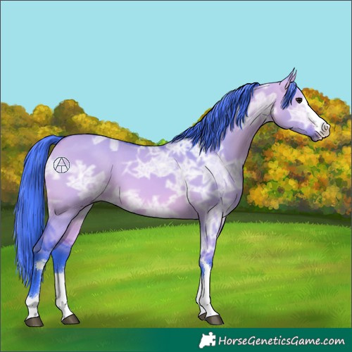Horse Color:Watercolor Bay Ice Dun 