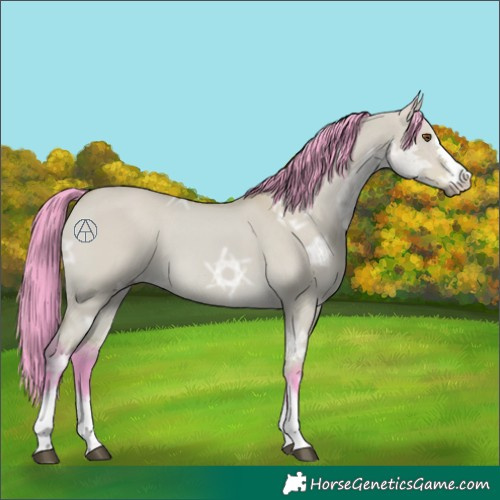 Horse Color:Watercolor Buckskin Ice Dun 