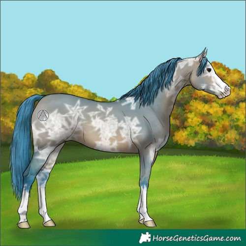 Horse Color:Watercolor Bay Ice Dun