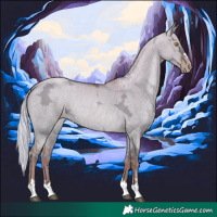 Horse Color:Silver Brown Ice Pearl Dun 
