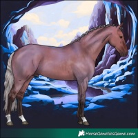 Horse Color:Silver Brown Dun 