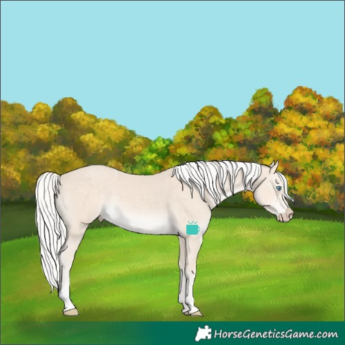 Horse Color:Silver Smoky Creme Tobiano 