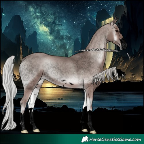 Horse Color:Void Platinum Silver Blue Onyx 