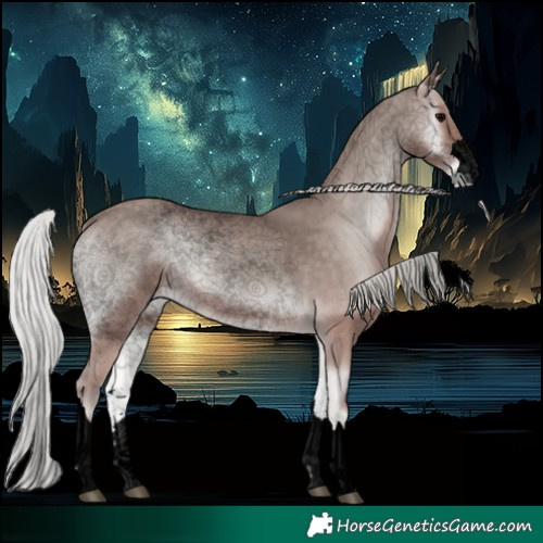 Horse Color:Void Platinum Silver Blue Onyx 