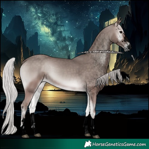 Horse Color:Void Platinum Silver Blue Onyx 