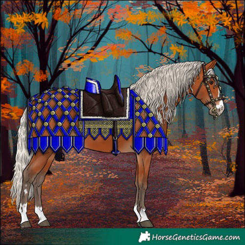 Horse Color:Silver Bay 