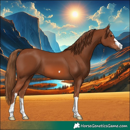 Horse Color:Chestnut 