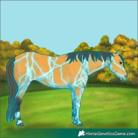 Horse Color:Thunderstruck Buckskin 