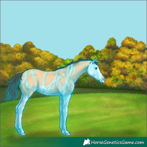 Horse Color:Thunderstruck Buckskin Splash 