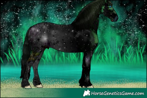 Horse Color:ERROR: UNKNOWN ANOMALY