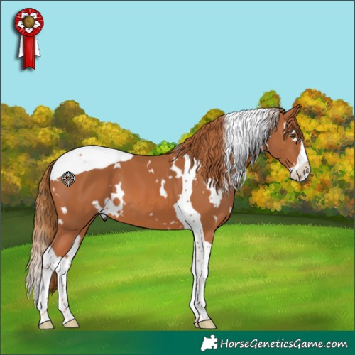Horse Color:White Spotted Chestnut Splash Tobiano 