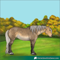Horse Color:Silver Buckskin Dun 