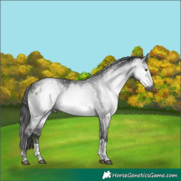 Horse Color:Gray Platinum Buckskin Dun Tobiano 