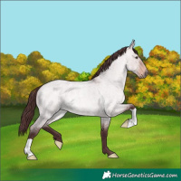 Horse Color:Platinum Chocolate Brown Roan Dun 