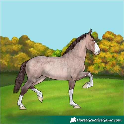 Horse Color:Platinum Chocolate Brown Roan Rabicano