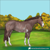 Horse Color:Platinum Chocolate Brown Rabicano 