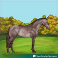 Horse Color:Platinum Chocolate Buckskin 